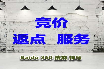 案例解析：SEM托管代运营团队风采
